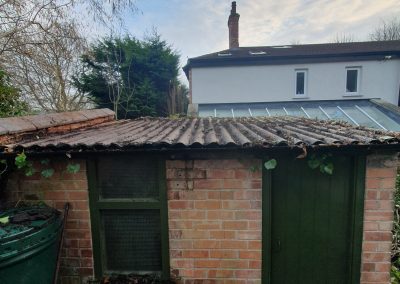 Shed Roof Ivy Removal