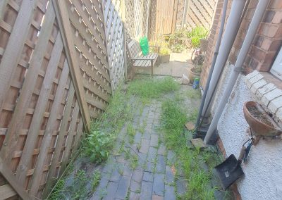 Garden Maintenance - Drayton Street