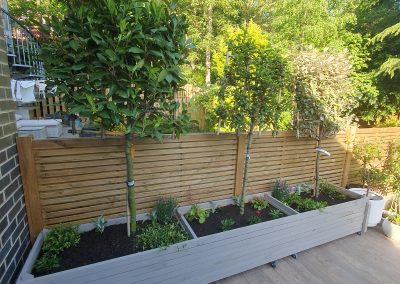 Garden Design – Tennis Mews