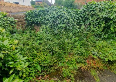 80 Victoria Crescent - Garden clearance