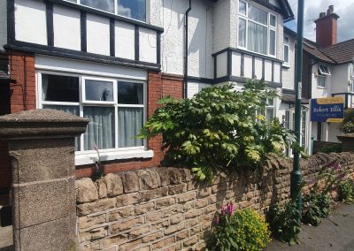 80 Victoria Crescent - Garden clearance