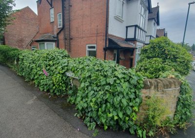 80 Victoria Crescent - Garden clearance