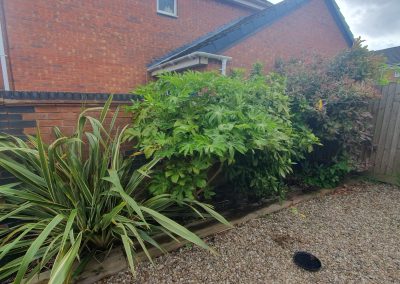Garden Maintenance - 9 Plantin Road